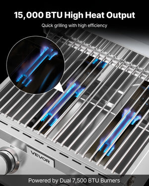 2-Burner Stainless Steel Portable Gas Grill: Your New Grilling Companion