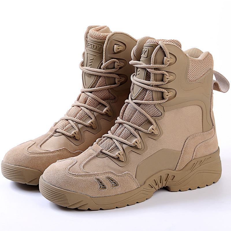 Men's Desert Boots